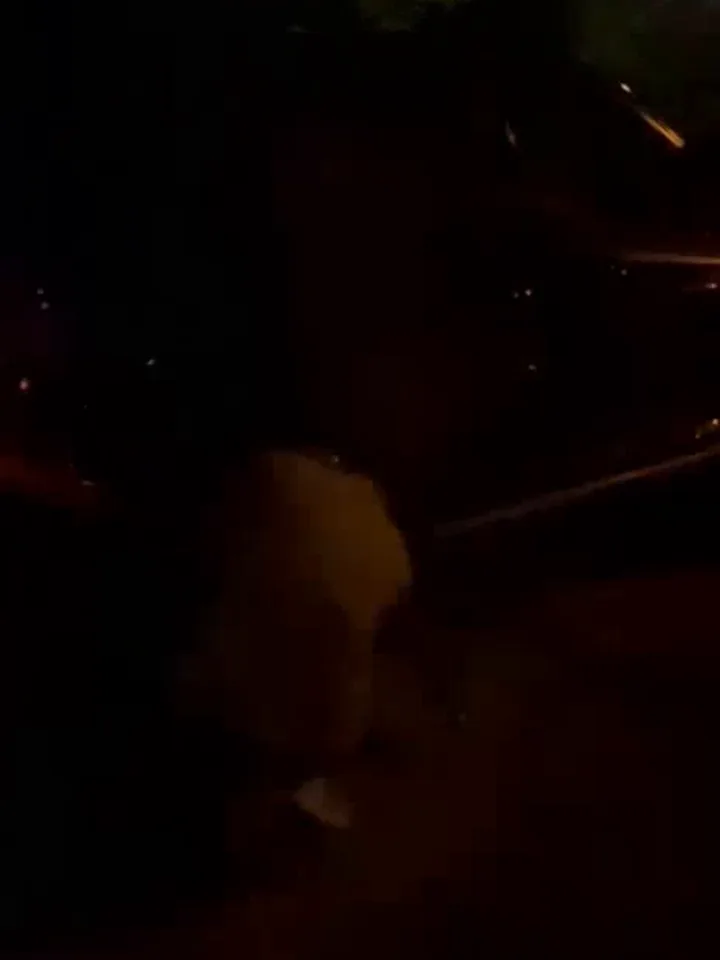 Gece mobil lastik yol yardımı